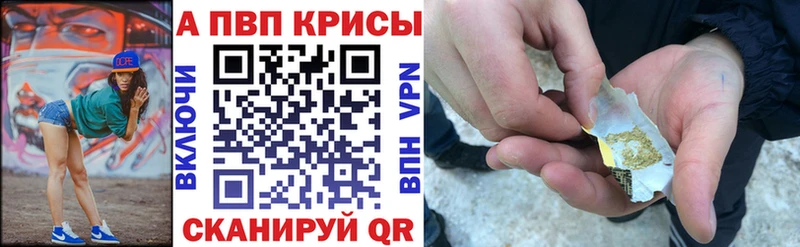 OMG   Новохопёрск  А ПВП СК 