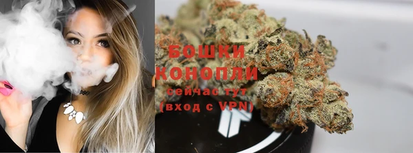 ПСИЛОЦИБИНОВЫЕ ГРИБЫ Волосово