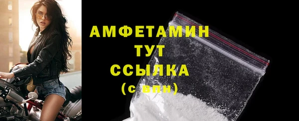 дмт Бородино
