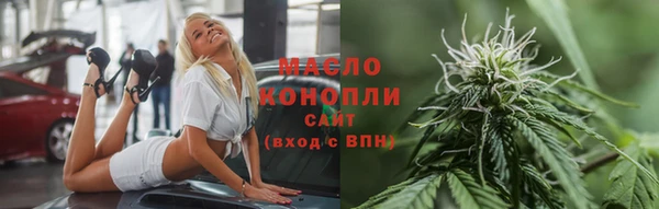 дмт Бородино