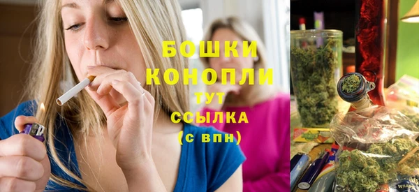 твердый Бронницы