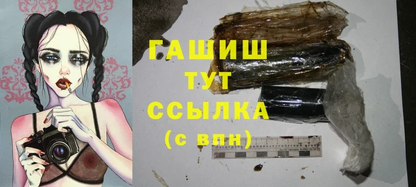 дмт Бородино