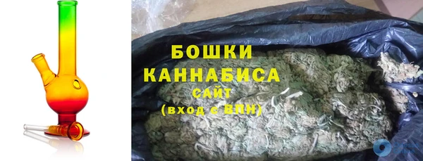 ПСИЛОЦИБИНОВЫЕ ГРИБЫ Волосово