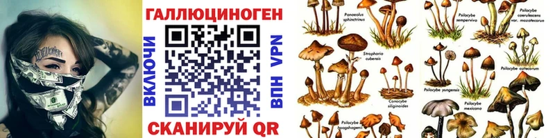 Галлюциногенные грибы Cubensis сколько стоит Новохопёрск